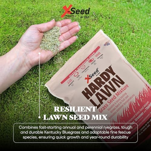 X-Seed Hardy Lawn Grass Seed Mixture - Durable, Long-Lasting Lawn Solution for Full Sun, Withstands Extreme Temperatures & Heavy Traffic, Ideal for Backyards, 3 lbs. - Image 6