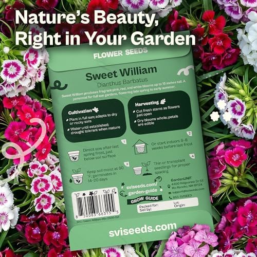 SVI 2500 Mix Sweet William Seeds (Dianthus barbatus) – Fragrant Sweet William Seed Packets Bulk – Heirloom Seed Mix, Non-GMO Perennial Flower Seeds Outdoor Flower Garden Beds & Indoor Garden - Image 2