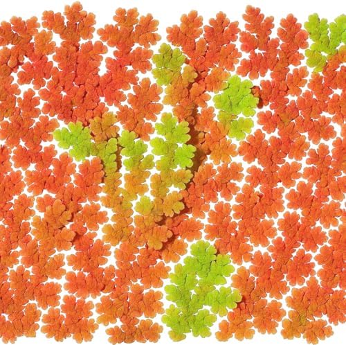 Azolla Caroliniana 10+ Live Plants, Water Velvet for Cultivation & Feeding - Image 3