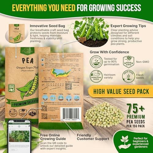 Pea Oregon Sugar Pod II Seeds Pack 15G - Over 75 Non-GMO Heirloom Pea Seeds for Planting Vegetables in Individual Seed Packet, Vegetable Seeds for Planting Home Garden Indoor & Outdoor - Image 3