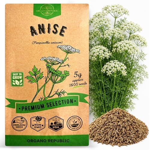 Anise Seeds Pack 5G - Over 1800 Non-GMO Heirloom Anise Seeds for Planting Herbs in Individual Seed Packet, Herbs Seeds for Planting Home Garden Indoor & Outdoor Gardening by OrganoRepublic