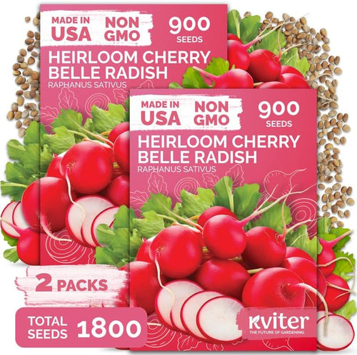 1,800 Cherry Belle Radish Heirloom Vegetable Seeds, Raphanus Sativus by KVITER