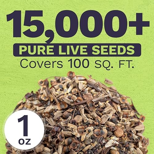 Texas Oklahoma Wildflower Seeds Mixture - Bulk 1 Ounce Packet - Over 15,000 Native Seeds - Open Pollinated and Non GMO - Image 3