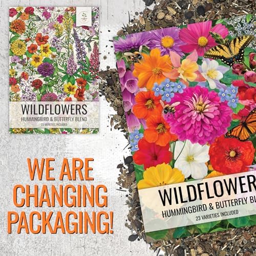Seed Needs Wildflower Seeds Butterfly and Hummingbird Mix 2 Ounce Bulk Pack - Image 6