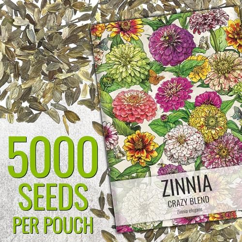 Seed Needs Zinnia Seeds Original Crazy Blend 5,000 Seeds Heirloom Bulk Pack - Image 3