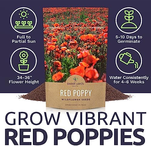 Red Poppy Seeds - Bulk 1/4 Pound Bag - Over 800,000 Wildflower Seeds - Image 6