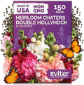 150 Chaters Hollyhock Heirloom Flower Seeds for Planting, Alcea Rosea by KVITER