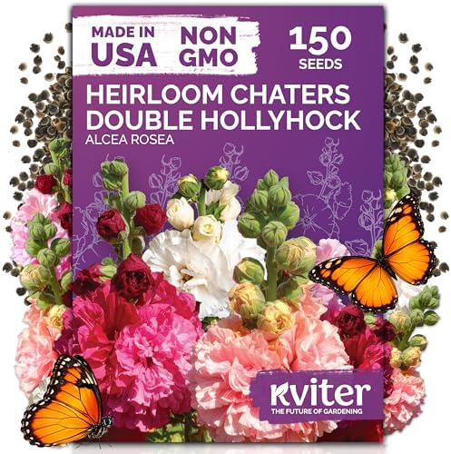 150 Chaters Hollyhock Heirloom Flower Seeds for Planting, Alcea Rosea by KVITER