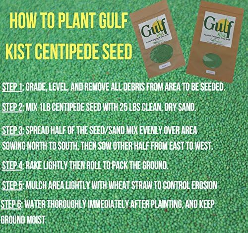 Centipede Grass Seed for a Dense Green Lawn, NO Mulch, 1 lb Coated Seeds, Sun and Moderate Shade Tolerant Lawn Seeding and Turf Patch Repair, Southern Southeast US, Low Fertilizer Low Maintenance - Image 3