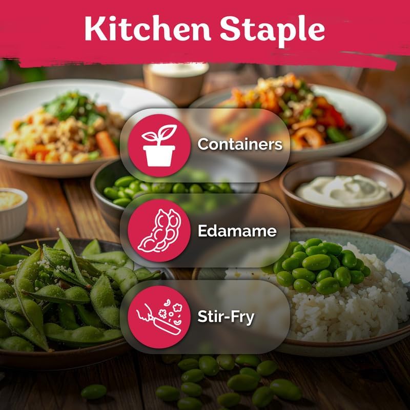80 Soy Bean Midori Giant Edamame Heirloom Vegetable Seeds, Glycine Max - Image 6