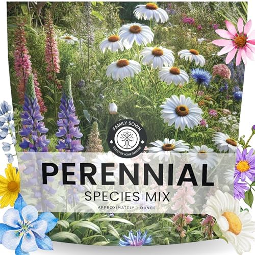 Perennial Species Mix - Large 1 Ounce Packet - 15,000 Flower Seeds for Planting - Wildflower Mix by FamilySown