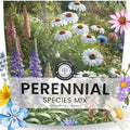 Perennial Species Mix - Large 1 Ounce Packet - 15,000 Flower Seeds for Planting - Wildflower Mix by FamilySown