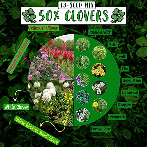 No-Till Cover Crop 13-Seed Mix (1 lb. Bag): [50% Clovers Plus Fenugreek, Vetch, Flax, Cowpeas, Buckwheat, Forage Peas, Millet, Lentils, Crimson Clover, Sweet Yellow, White Clover, Medium Red Clover] - Image 2