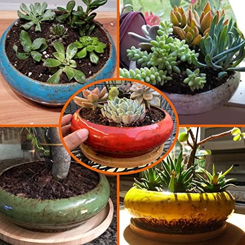 Bonsai Pots, 7.3 Inch Large Succulent Pots with Drainage Shallow Plant Pots - Image 5