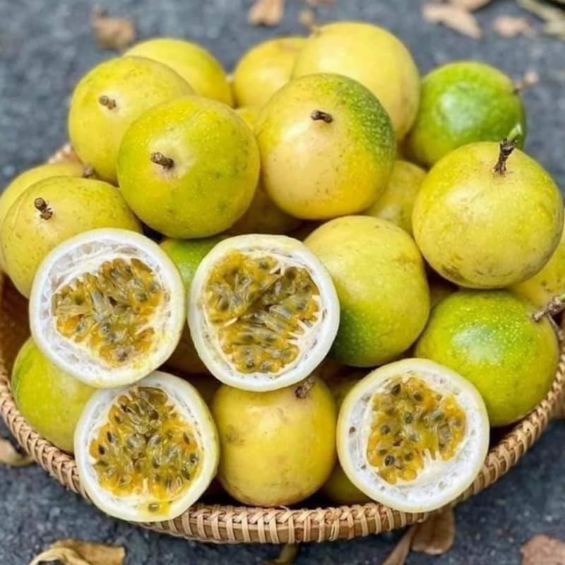 2 Mix Passionfruit Vine Live Plants, Fully Rooted Passionfruit, 5-10" Tall - Image 6