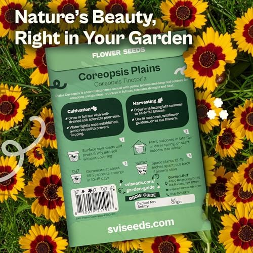 SVI 2500 Plains Coreopsis Seeds (Coreopsis Tinctoria) - Golden Tickseed, Yellow-Red Blooms, Annual Wildflowers, Heirloom Seed in Seed Packets - Flower Seeds for Outdoor Garden, Meadows, Flowers Beds - Image 2