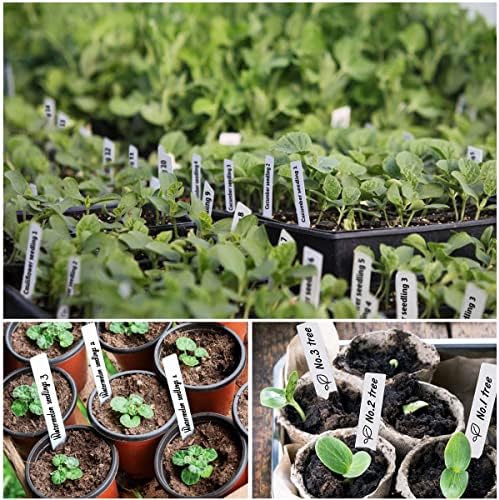 Plant Labels 4 Inch 500Pcs Plastic Plant Name Tags for Seedlings - Image 6