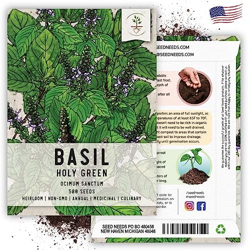 Seed Needs Holy Basil Seeds to Plant an Herb Garden - 1 Pack - Image 5