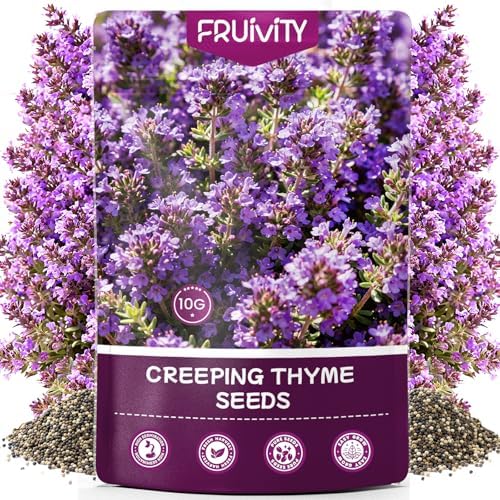 20000+pcs Creeping Thyme Seeds for Planting, Perennial Ground Cover Plants Flowers Seeds Fragrant Herb Seeds for Lawns & Paths Garden by Fruivity