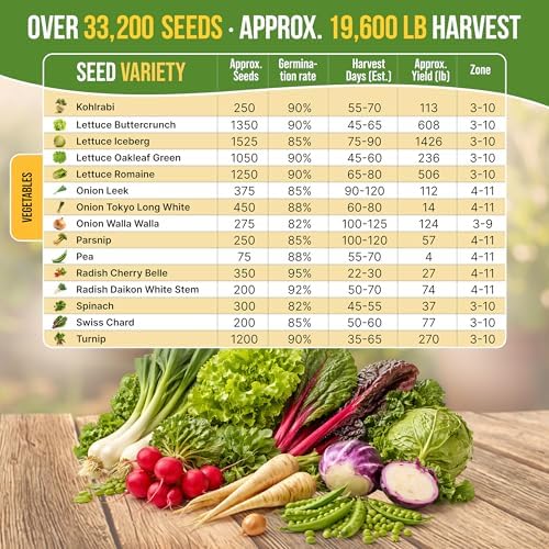 Organo Republic 30 Most Popular Winter Vegetable Garden Seeds Variety Pack- Outdoors/Indoor 33,200+ Non-GMO Heirloom Veggie Seeds Broccoli Beet Carrot Cabbage Chives Lettuce Radish Pea Spinach & More - Image 4