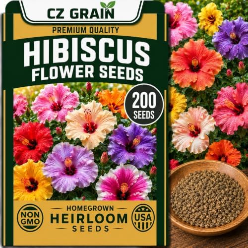 Seeds for Planting, 200 Hibiscus by CZGrain