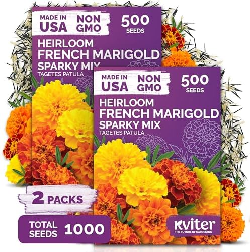 1,000 French Marigold Heirloom Flower Seeds for Planting, Tagetes Patula by KVITER