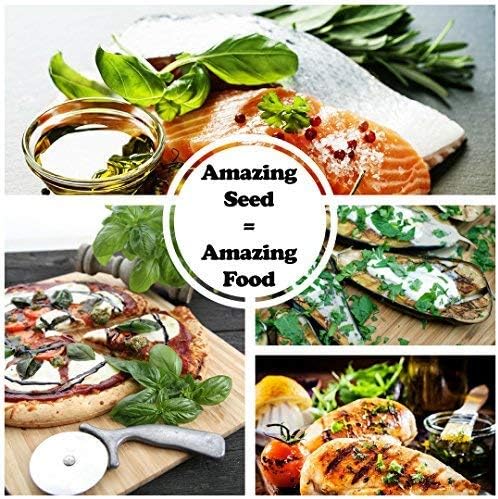Sustainable Seed Co Culinary Herb Seeds Variety Pack – 10 Non-GMO - Image 6