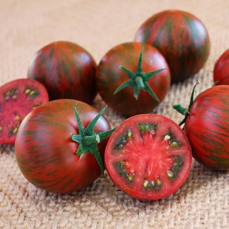 Park Seed Cherry Tomato Seeds, Planting Vegetables, Easy to Grow, Non-GMO, Variety of Colors and Sizes, Spring Garden, Purple Zebra, Pack of 10 by ParkSeed
