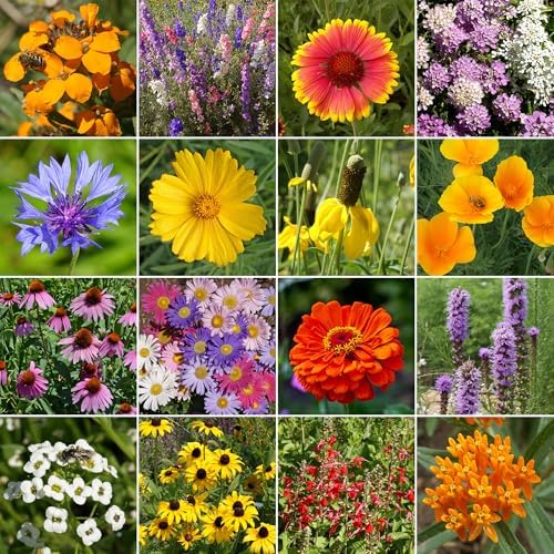 Ferry-Morse Bird & Butterfly Bulk Wildflower Seeds, 210,000+, 1 lb - Image 2