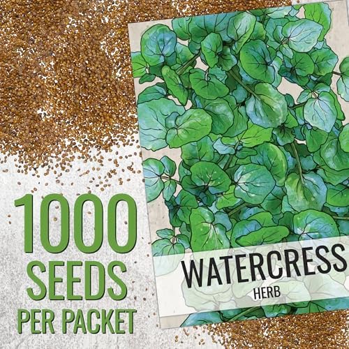Seed Needs Watercress Seeds to Plant an Herb Garden - 1 Pack - Image 3