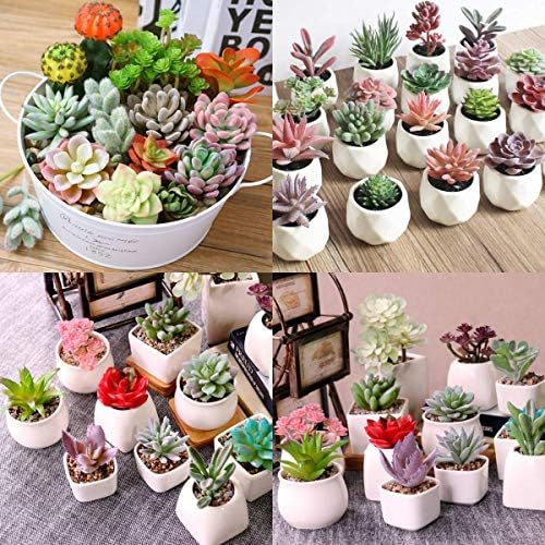 Augshy Artificial Succulents, 16 Pack Fake Succulents Plants Artificial Small Fake Plants Faux Succulents Unpotted for Lotus Landscape Decorative Garden Arrangement Decor - Image 6