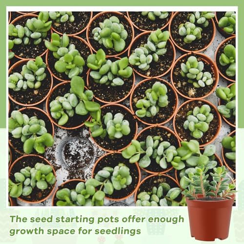 Yaomiao 200 Pcs 3 Inch Red Mini Nursery Pots with Drainage Holes - Image 5