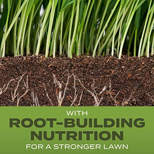 Scotts Turf Builder Grass Seed Tall Fescue Mix - Durable to Resist Harsh Conditions, Lawn Seed, Grass Fertilizer & Soil Improver, Covers up to 1,400 sq. ft., 5.6 lb. (Pack of 4) - Image 2