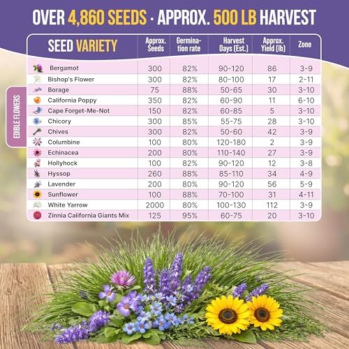 Organo Republic 15 Edible Flower Seeds Variety Pack for Indoor Outdoor Gardening - 4,800+ Non-GMO Heirloom Flower Seed: Borage, Bishop's Flower, Chicory, Chives, Hyssop, Echinacea, Lavender & More - Image 3