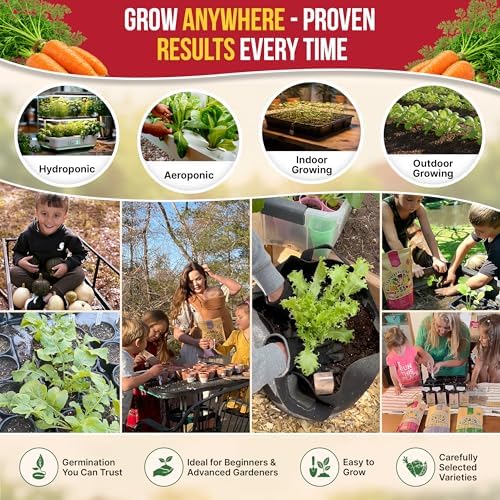 Organo Republic Carrot Royal Chantenay Seeds Pack 1G - Over 850 of Non-GMO Heirloom Carrot Seeds for Planting Vegetables in Individual Seed Packet, Vegetable Seeds for Planting Indoor & Outdoor Garden - Image 5