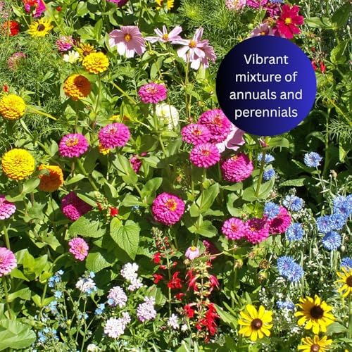 Earth Science Butterfly & Hummingbird Wildflower Seed Blend - 4oz - Premium Flower Seeds to Attract Bees, Butterflies, Hummingbirds & Native Pollinators - Non GMO - Image 3