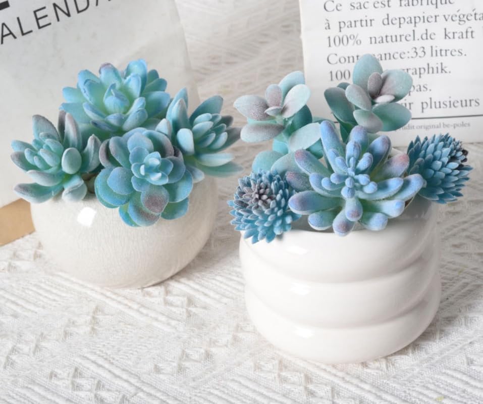 10 Pieces Fake Succulent Plant,Mini Artificial Succulents,Artificial Air Plants that Look Real,Plastic Plant for Garden & Outdoor Home Décor (Blue) - Image 5