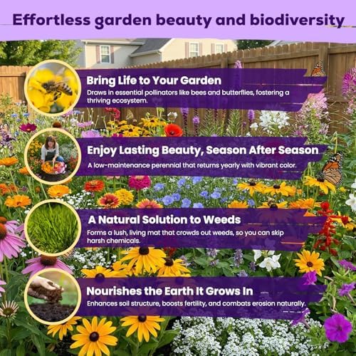 200,000+ Wildflower Seeds Bulk (4oz) – 16 Varieties Perennial & Annual Mix, Attract Bees, Butterflies & Hummingbirds, High Germination for Outdoor Pollinator Garden, Unique Gift for Mother, Women, Mom - Image 3