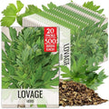 Seed Needs Lovage Seeds to Plant an Herb Garden - 20 Packs by SeedNeeds