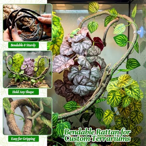 5 Pcs Reptile Plants & Habitat Decor Kit - 3 Artificial Plants & Large 5ft Jungle Vine Branch, Terrarium Tank Decor & Climbing Accessories for Gecko (Lime Heuchera, Purple Heuchera, Vein Begonia) - Image 5