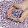 T4U Crystal Rocks for Aquarium, Amethyst Chips Pebbles for Plants 1 lb by T4U