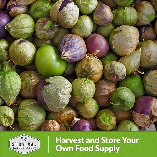 Purple Tomatillo Seeds for Planting - 1 Pack - Image 6