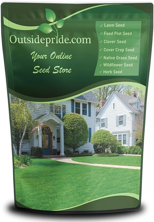 Outsidepride OSP Ryegrass Blend - 10 Lbs. Perennial, Pure Raw Seed w/ 0.00% Other Crop & Weed Seed by Outsidepride