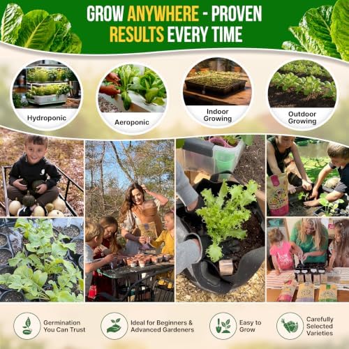 Lettuce Romaine Seeds 3 G - Over 2,600 Non-GMO Heirloom Lettuce Seeds for Planting Greens in Individual Seed Packet - Image 5