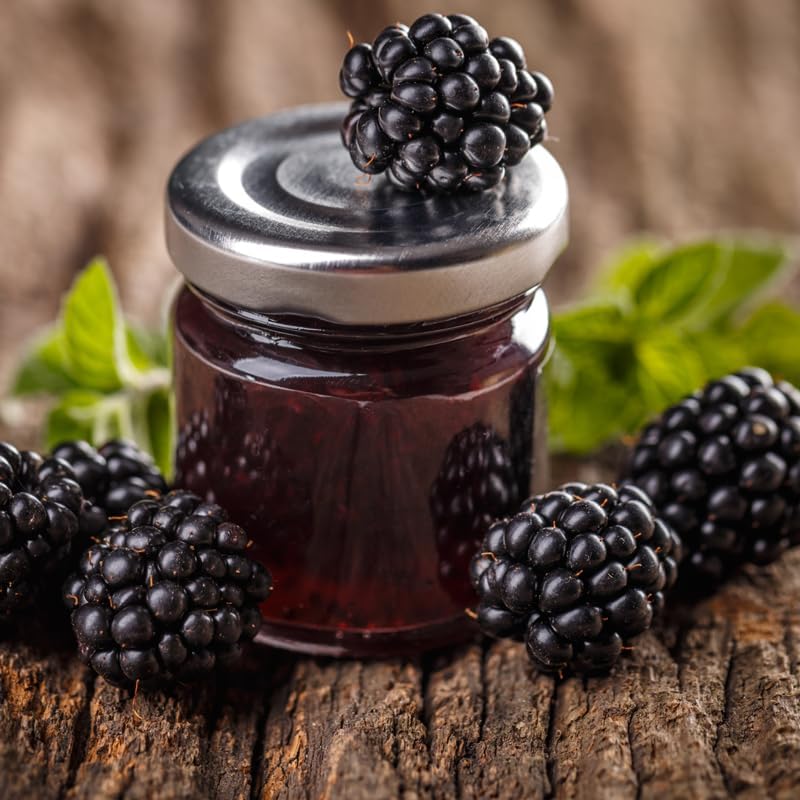 BlackBerry Plant Kiowa (4 Pack) | Live Fruit Plant for Planting | Extra-Large, Juicy & Sweet Berries | Thorny & High-Yielding Variety | Perfect for Fresh Eating, Jams & Organic Gardening - Image 7