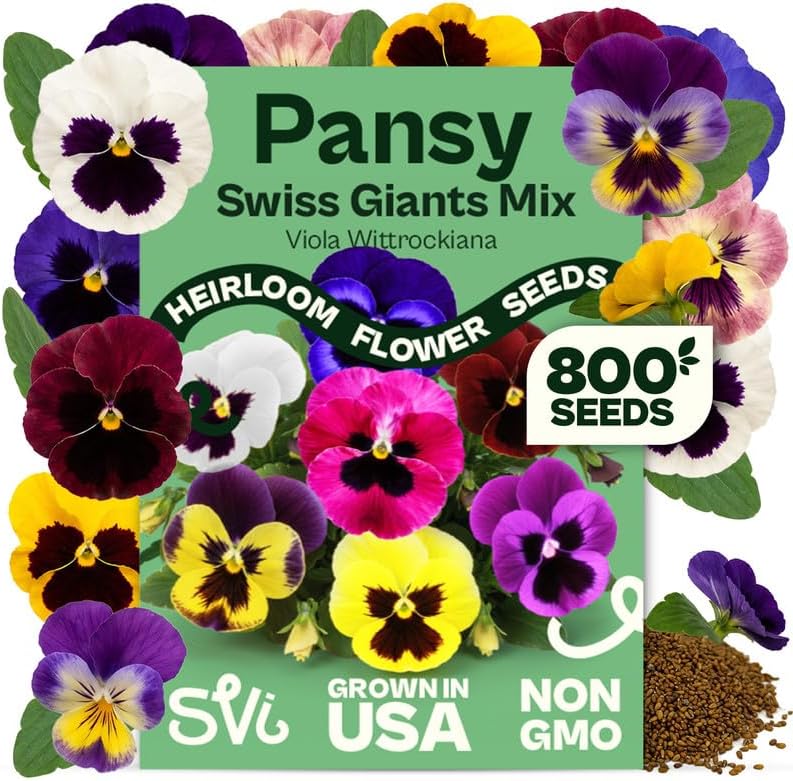 SVI 800 Mix Swiss Giants Pansy Seeds (Viola wittrockiana) – Edible Pansies Flower Seed Packets, Heirloom Garden Seed Mix, Perennial Flower Seeds Packets for Borders, Containers, Outdoor Garden by SVI