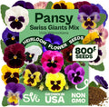 SVI 800 Mix Swiss Giants Pansy Seeds (Viola wittrockiana) – Edible Pansies Flower Seed Packets, Heirloom Garden Seed Mix, Perennial Flower Seeds Packets for Borders, Containers, Outdoor Garden by SVI