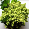 Broccoli Romanesco 50 Seeds per Packet - Rare & Unique by PowerGrow+Systems