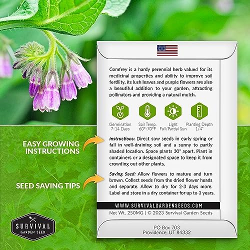 Comfrey Seeds - Symphytum Officinale - Perennial Medicinal Herb (3 Packs) - Image 2