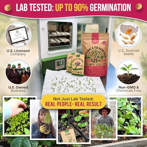 Organo Republic 25 Medicinal & Tea Herb Seeds Variety Pack for Indoor & Outdoors. 10900+ Non-GMO Heirloom Garden Seeds: Anise, Borage, Cilantro, Chamomile, Dandelion, Rosemary, Peppermint Seeds - Image 2